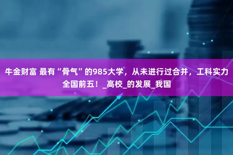 牛金财富 最有“骨气”的985大学，从未进行过合并，工科实力全国前五！_高校_的发展_我国