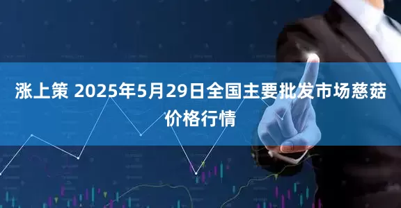 涨上策 2025年5月29日全国主要批发市场慈菇价格行情