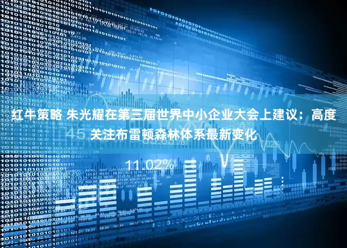 红牛策略 朱光耀在第三届世界中小企业大会上建议：高度关注布雷顿森林体系最新变化